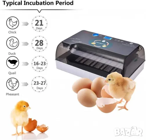 Автоматичен инкубатор за 12 яйца – Лесен за употреба YZ9-12, снимка 5 - За птици - 49229524