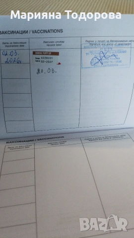 Пинчер, снимка 17 - Пинчер - 53447224