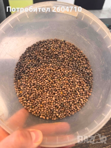 продавам ФИИ ФИЙ за семена, снимка 2 - Сортови семена и луковици - 52365808