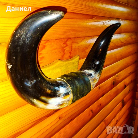 Декорация от рога на воден бивол, снимка 11 - Декорация за дома - 52028966