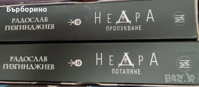 Радослав Гизгинджиев, снимка 2 - Художествена литература - 50743580