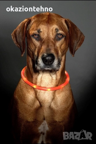 Karlie Visio Light LED тръбна каишка L: 20–70 см, снимка 3 - За кучета - 52067835