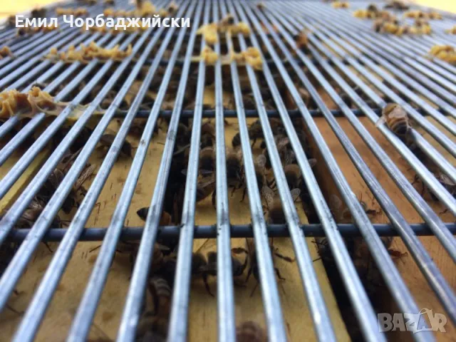 Ханеманови решетки, снимка 5 - За пчели - 50054538