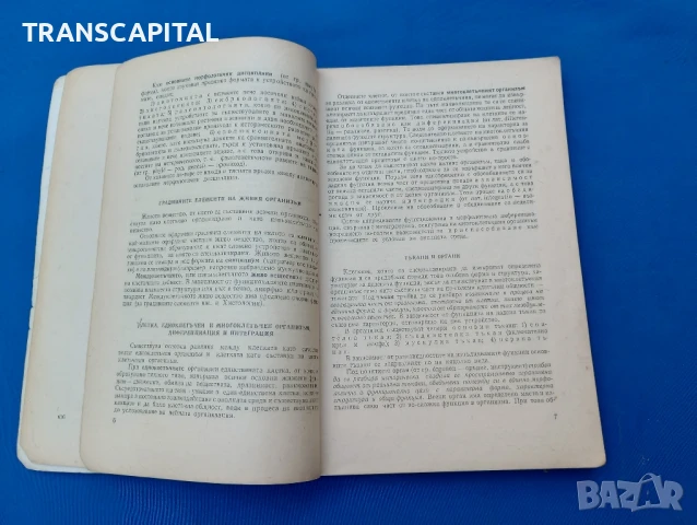 Анатомия на домашните животни , снимка 4 - Антикварни и старинни предмети - 51338249