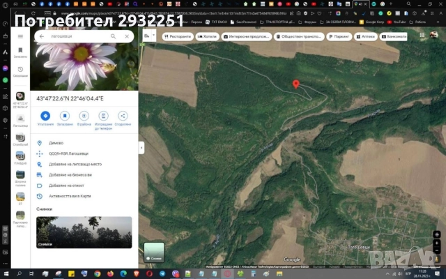 Продава или заменя ГОРА Видинско, снимка 3 - Земеделска земя - 51759694