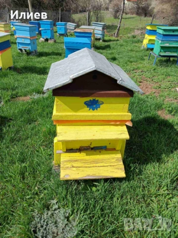 Продавам пчелни семейства в комплект с кошер и магазин, снимка 3 - Други животни - 54104388