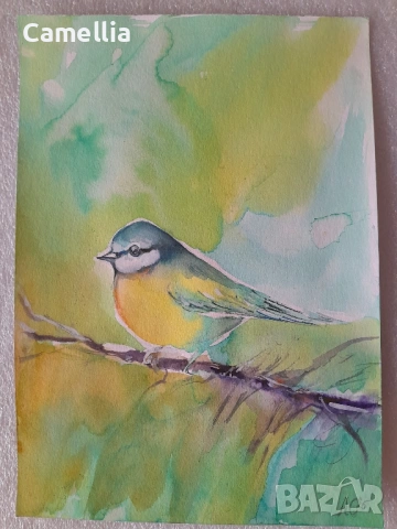 Птички - акварели, снимка 3 - Картини - 53029852