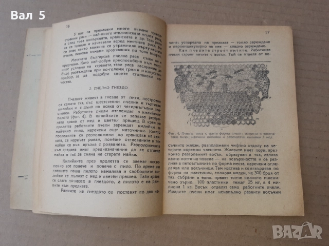 Пчеловъдството в ТКЗС - Васил И. Попов 1949 г, снимка 4 - Специализирана литература - 51445324