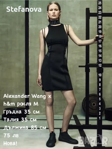 Alexander Wang рокля, снимка 1 - Рокли - 46930432