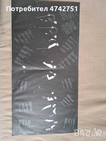 Комплект Грамофонни плочи с БГ изпълнители, снимка 12 - Грамофонни плочи - 54129162