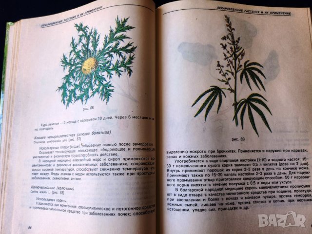 Лекарствени растения - Лекарственные растения в каждом доме и Горските плодове-храна и лечебно средс, снимка 2 - Специализирана литература - 46714682