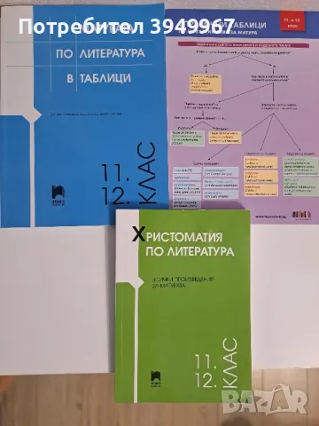 учебни помагала за 11 и 12ти клас, снимка 1 - Учебници, учебни тетрадки - 47541122