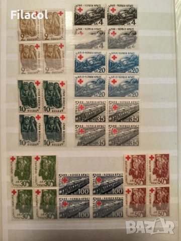 България  Червен кръст 1947 г. КАРЕТА България  MNH