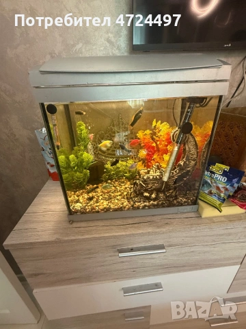 Акрариум със всичко както е на клипа, снимка 3 - Аквариуми - 53336581