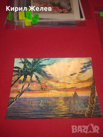 Красива ефектна 3D пощенска картичка от Канарските острови Лас Палмас 44686, снимка 2 - Филателия - 45263024