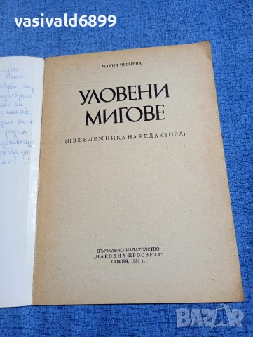 Мария Чернева - Уловени мигове , снимка 4 - Други - 54177357