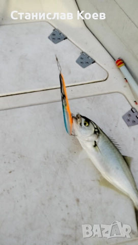 воблери за лефер глайдер 160мм., снимка 7 - Такъми - 52596560