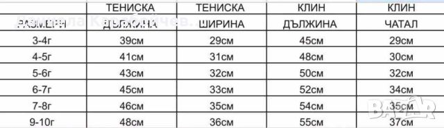 Комплект на Скай от Пес Патрул с клин 7/8, снимка 2 - Детски комплекти - 45148791