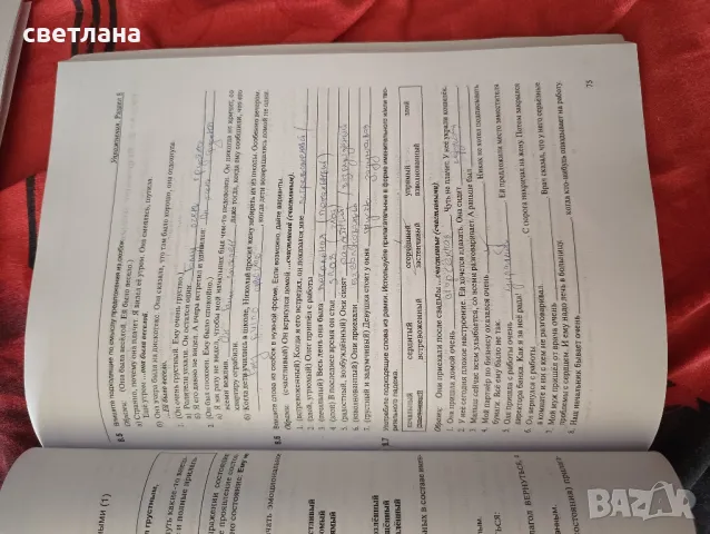 Русская граматика в упражнениях, снимка 2 - Чуждоезиково обучение, речници - 46829398