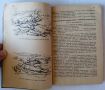 Готов за санитарна отбрана - учебник от 1948 + бонус конспект по местна противовъздушна отбрана, снимка 8