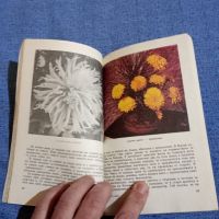 Черней/Ширева - Дъга от цветя , снимка 5 - Специализирана литература - 45395035