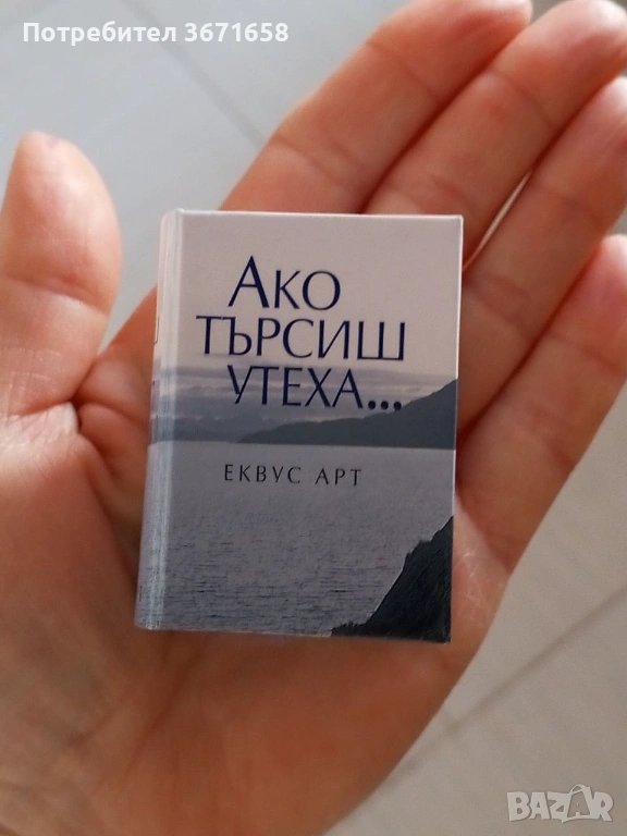 Мини книга, снимка 1