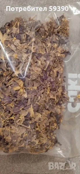 сухи венчелистчета иглика, снимка 1