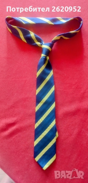 Вратовръзка на езикова гимназия "Пловдив", снимка 1