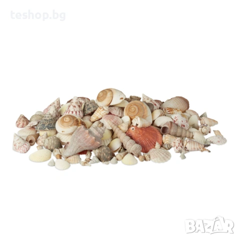 Микс от рапани и миди Relaxdays за декорация