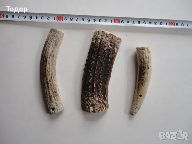 Рог рога 2, снимка 2 - Антикварни и старинни предмети - 50287884