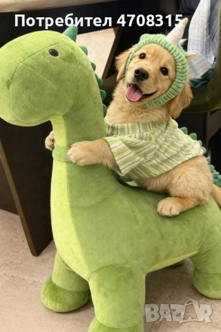 Голдън ретривър момче родословен баща