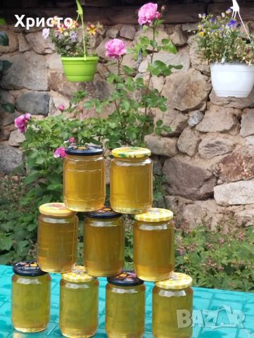 Акациев мед, снимка 1 - Пчелни продукти - 46247749