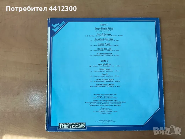 Грамофонни плочи 12”, снимка 2 - Грамофонни плочи - 49732547