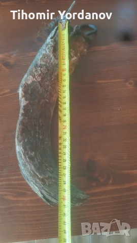 Катраник от биволски рог., снимка 18 - Антикварни и старинни предмети - 51320819