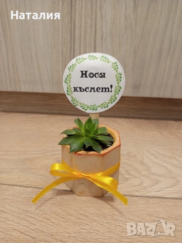 Гипсови кашпи и свещници., снимка 18 - Декорация за дома - 49763474