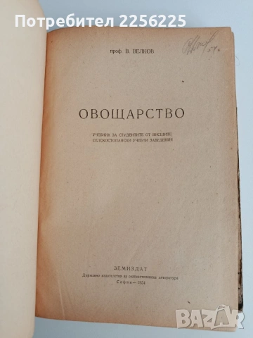 Овощарство 1954г , снимка 11 - Специализирана литература - 53075504