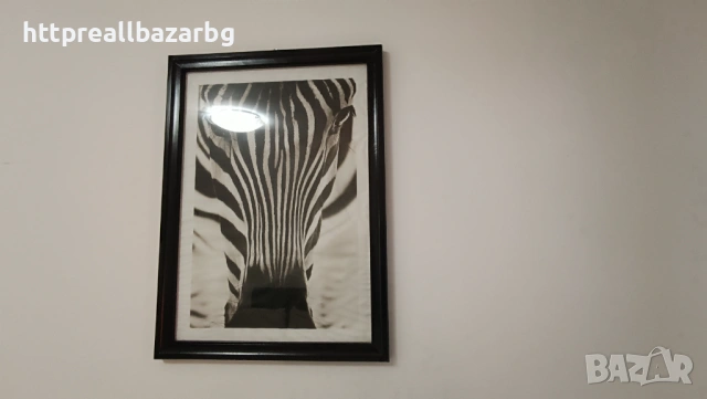 Наем двустаен ул. Кап. Петко войвода”, Варна, 500 е, С ВКЛ. СМЕТКИ, 082445448, снимка 10 - Апартаменти - 53898029