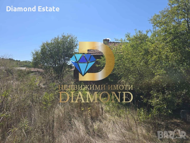 Къща с голям двор в село Долно Белево, общ. Димитровград, снимка 4 - Къщи - 51792558