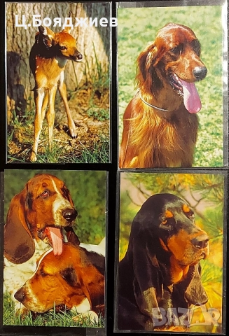 17 бр. Стари календарчета  - Животни , снимка 2 - Колекции - 52111281