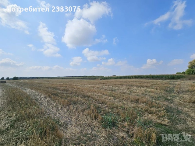 Продавам 24,860 дка земя в землището на с. Крислово, обл. Пловдив, снимка 5 - Земеделска земя - 53530333