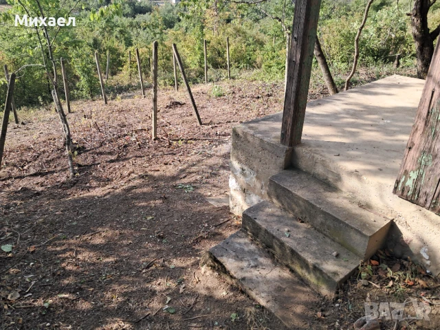 Намалена цена!, снимка 7 - Вили - 50933030