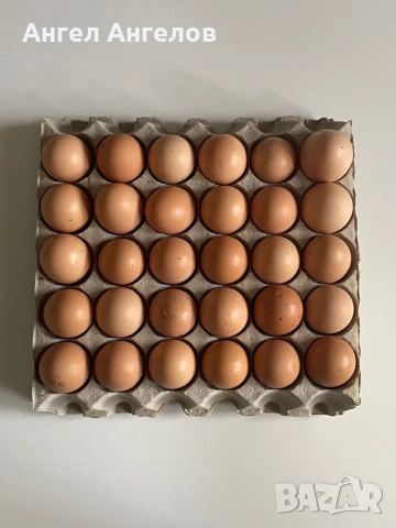 Домашни яйца