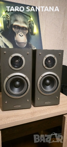 ТОНКОЛОНИ DENON USC-110, снимка 6 - Тонколони - 52547882