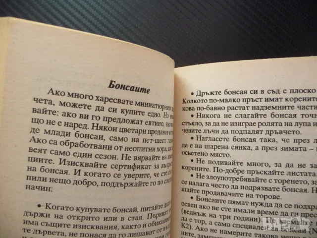 Чудодейни съвети за балкони, тераси, градини бонсаи орхидеи градина, снимка 2 - Други - 48758955