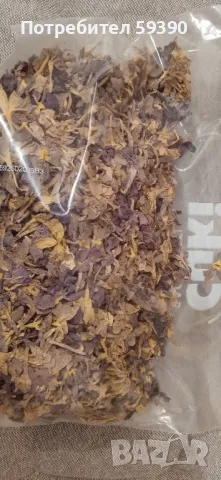 сухи венчелистчета иглика