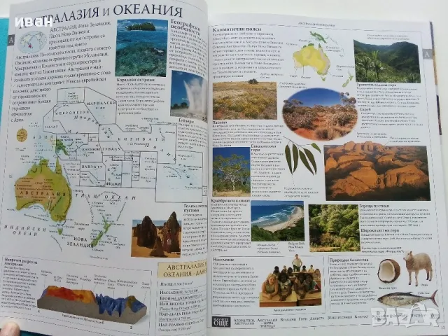 Илюстрована семейна енциклопедия Том 1 - 2006г., снимка 4 - Енциклопедии, справочници - 49879631