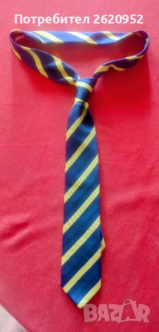 Вратовръзка на езикова гимназия "Пловдив"