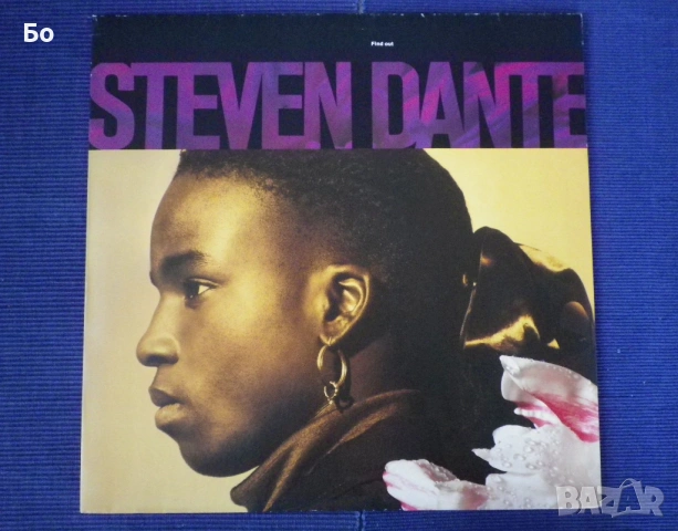 грамофонни плочи Public Enemy, M.C.Hammer, ICE MC, Sydney Youngblood,..., снимка 14 - Грамофонни плочи - 52311057