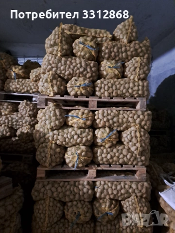 Картофи. РАВНОГОРСКИ, снимка 3 - Обзавеждане за заведение - 53466639