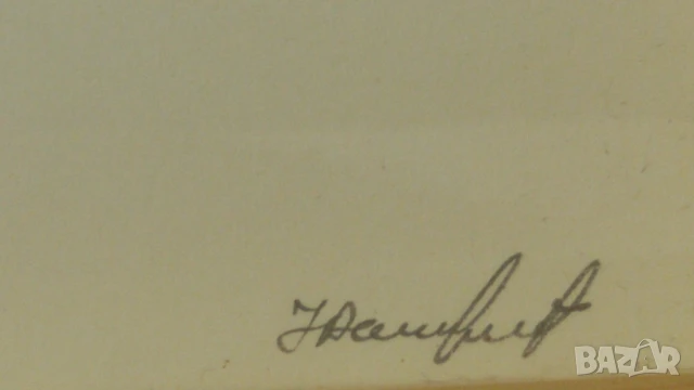 Рамкирано пано Сирма Сиромахова, снимка 6 - Други - 51076143